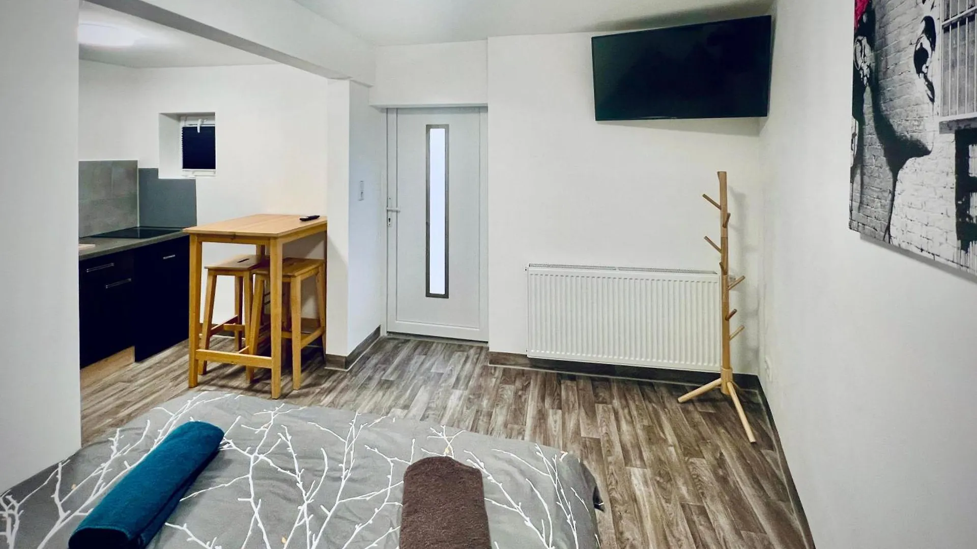 Airport Mini Erdgeschoss Apartment Nuremberg Germany